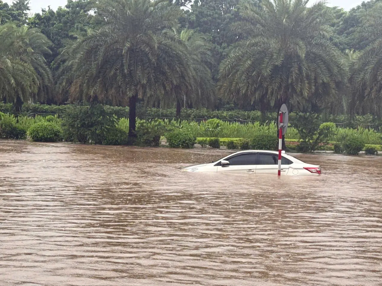 Đài PTTH Hà Nội
